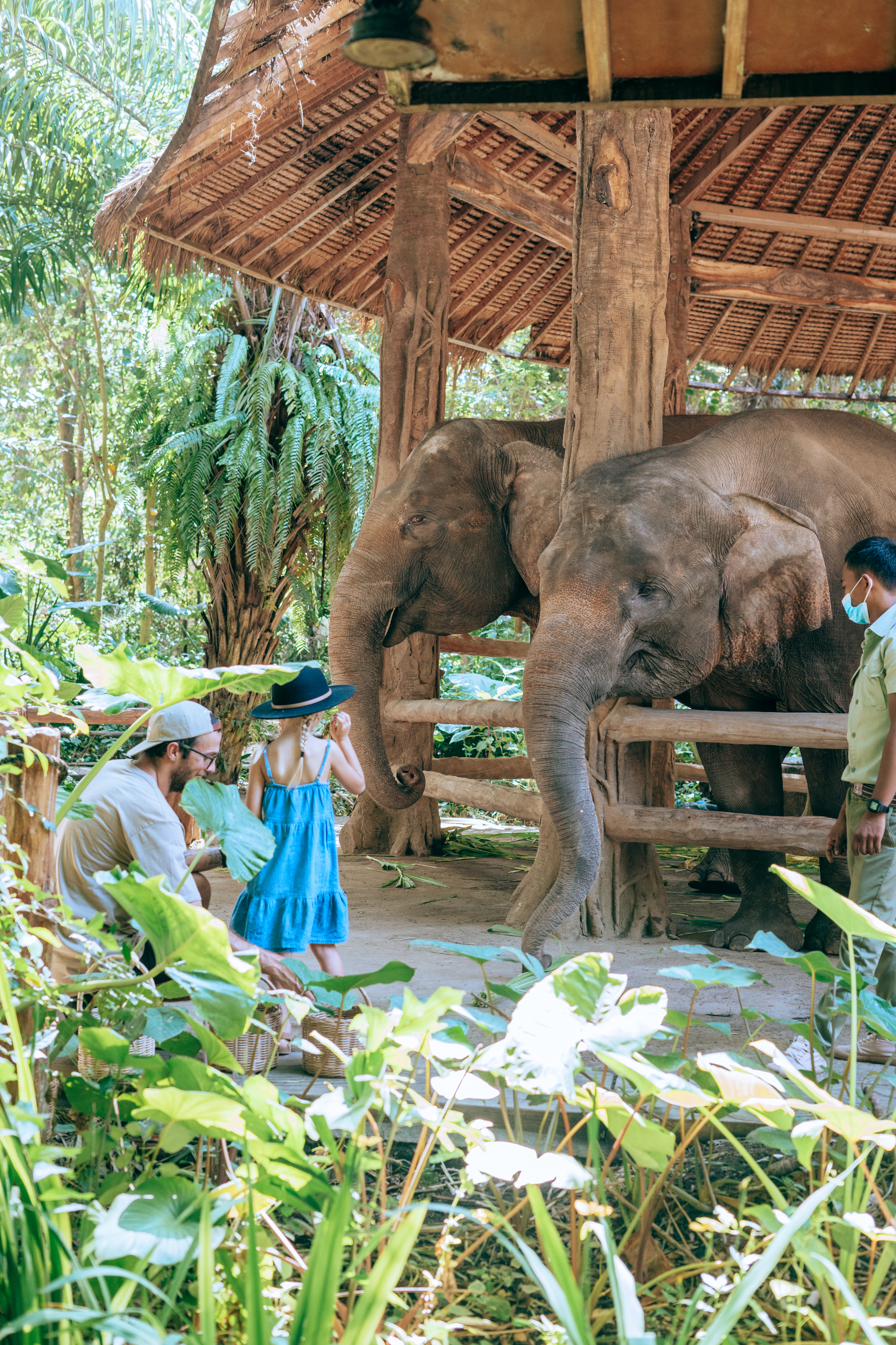 Elephant Back Safari (Child) - Domestic